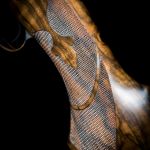 PXL_20260115_222217951.PORTRAIT