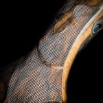 sd-65 dark continent grip fleur with ribbons