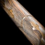 sd-76 dark continent foreend fleirs with ribbons