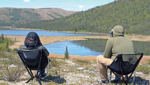 The view from the camp’s “glassing chairs” covered lakes, forests, tundra ridges, and a long valley. Abundant bird life on the lakes below camp kept pulling the author’s attention away from the bear hills.