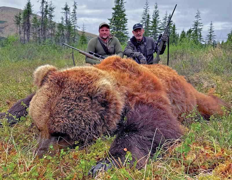 Spomer’s grizzly was an old bear with a Boone and Crockett-size skull. Imagine how many moose calves he accounted for in his lifetime.