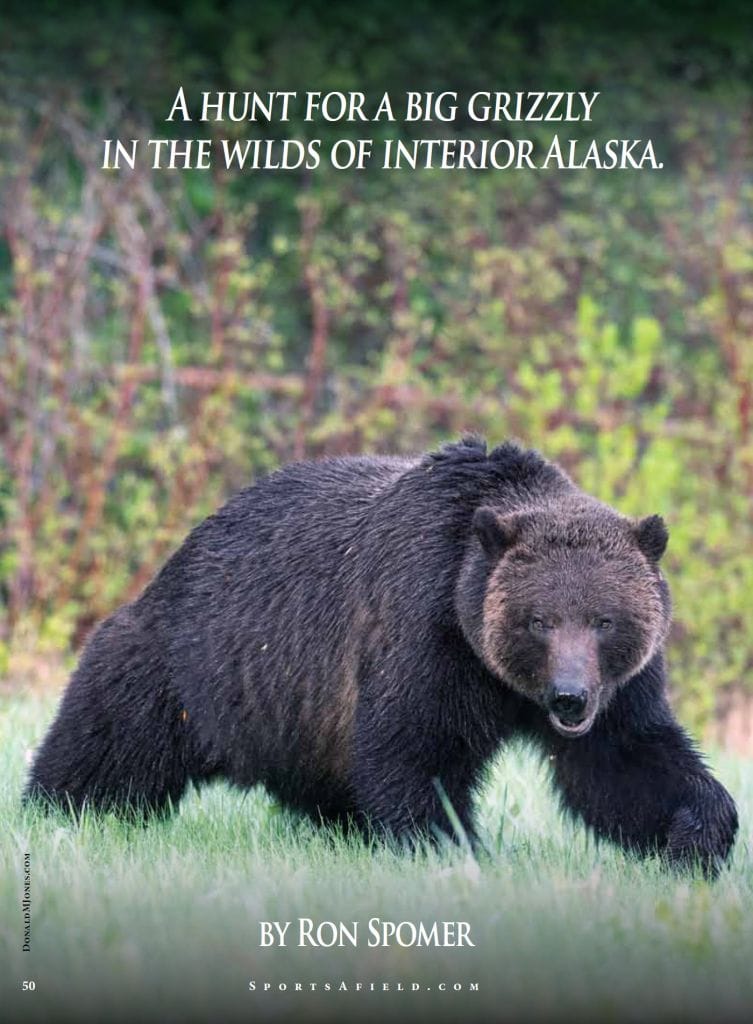 A Hunt for a Big Grizzly in the Wilds of Interior Alaska