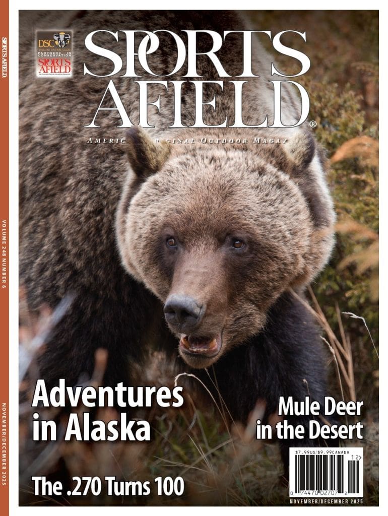 The Moose Killer of the Mulchatna
